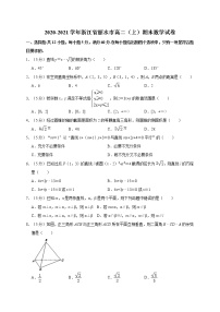 2020-2021学年浙江省丽水市高二（上）期末数学试卷
