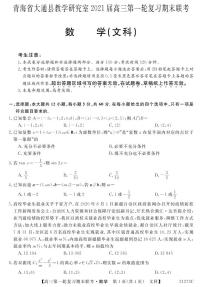 2021届青海省西宁市大通回族土族自治县高三上学期第一轮复习期末联考数学（文）试题 PDF版