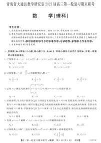 2021届青海省西宁市大通回族土族自治县高三上学期第一轮复习期末联考数学（理）试题 PDF版