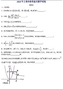 2019年上海春考数学试卷 含简答