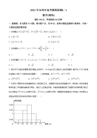 陕西省宝鸡市2021届高三上学期高考模拟检测（一）数学（理）试题 Word版含答案