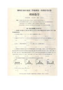 广西柳州市2021届高三第一次模拟考试数学（理）试题含答案