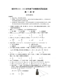 湖北省鄂州市2020-2021学年高一下学期期末质量监测数学试题（含答案）