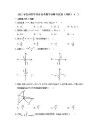 贵州省毕节市2021届高三下学期4月第二次诊断性考试理科数学试题含答案