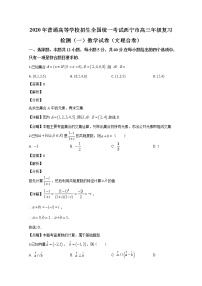 青海省西宁市2020届高三统一考试复习检测一（一模）数学试题含答案解析