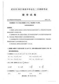 湖北省武汉市2021-2022学年高三下学期2月调研考试数学试题无答案