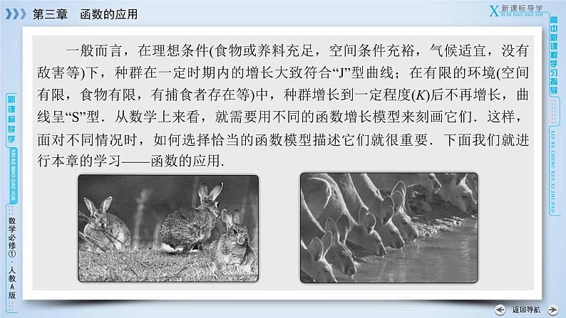 人教A版数学必修1 3.1.1 函数的应用 PPT课件+练习04