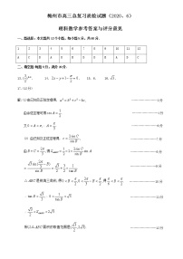 2020届广东省梅州市高三6月总复习质检（二）数学（理）试题 PDF版