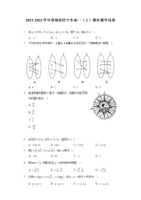 2021-2022学年青海省西宁市高一（上）期末数学试卷（含答案解析）