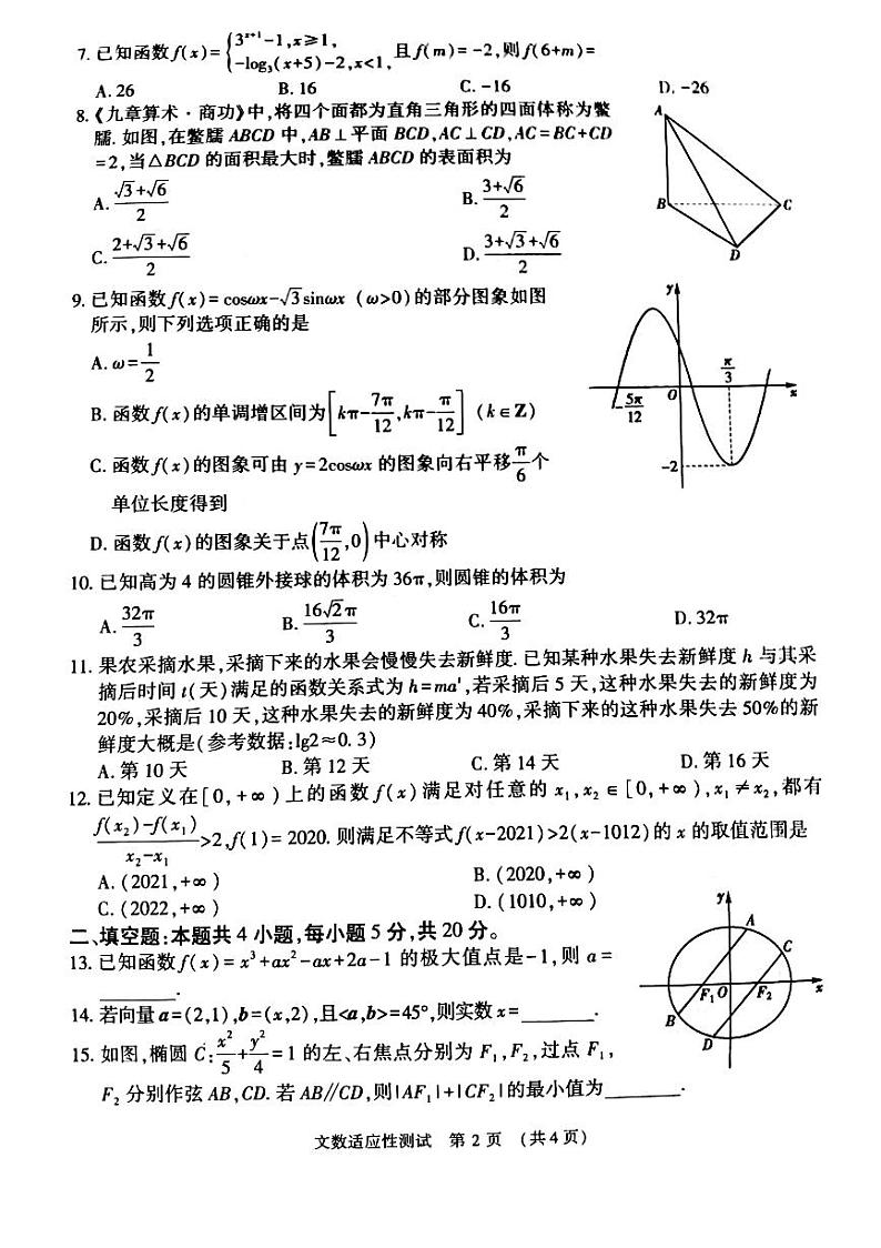 河南省2022.3.8适应性考试文数试卷第2页