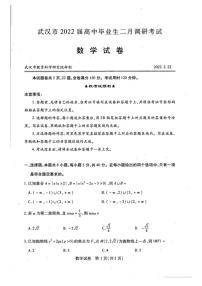 2022届湖北省武汉市高三2月调研数学试卷