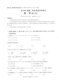 2021届四川省九市（广安、眉山、遂宁、雅安、资阳、乐山、广元、自贡、内江）高三第二次高考适应性统考（二诊）考试数学（理）试题（PDF版含详细解答）