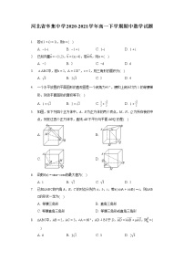 河北省辛集中学2020-2021学年高一下学期期中数学试题