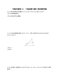 人教版新高考数学二轮复习习题训练--专题突破练10　三角函数与解三角形解答题