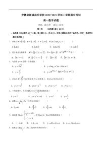 安徽省合肥高升学校2020-2021学年高一上学期期中考试数学试题 PDF版含答案
