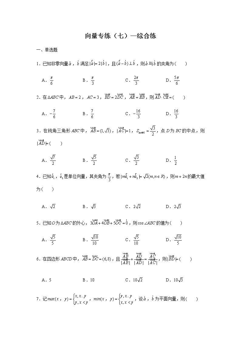 第6章 向量专题训练（七）—综合练-【新教材】2021-2022学年人教A版（2019）高中数学必修第二册专项训练第1页