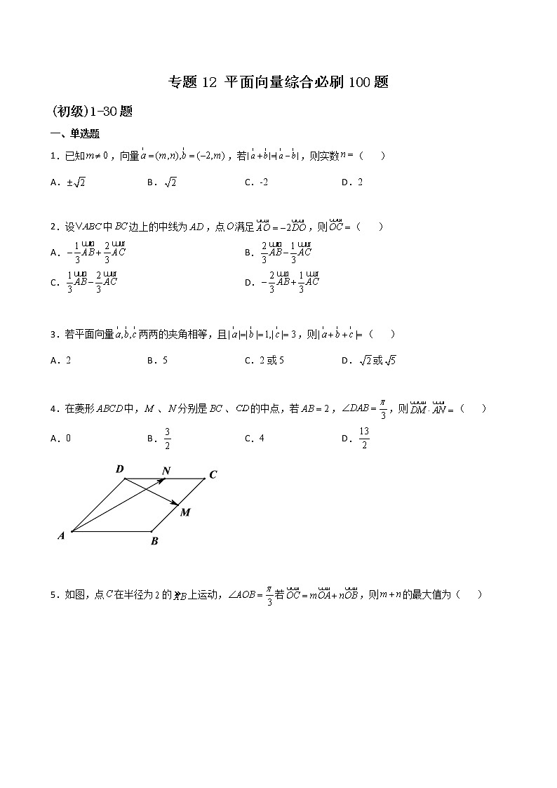 专题12 平面向量综合(原卷版)第1页