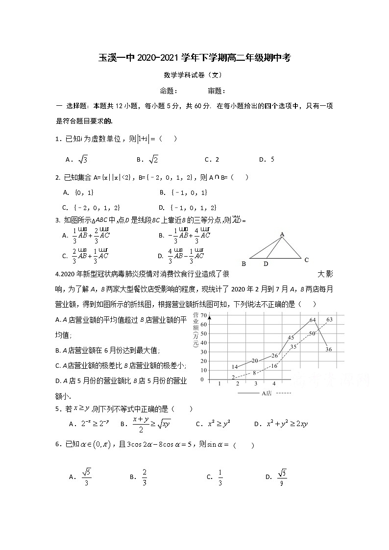 云南省玉溪市一中2020-2021学年高二下学期期中考试数学（文）试题（含答案）01