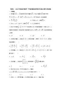 专题4  2022年新高考数学     平面向量选择填空压轴小题专项训练(解析版)