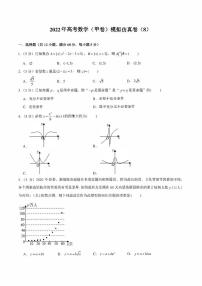 2022年高考数学（甲卷）模拟仿真卷（8）（学生版+解析版）