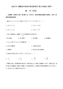 安徽省示范高中皖北协作区2022届高三下学期3月联考文科数学试题
