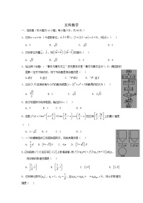 2020届甘肃省武威高三二模数学(文）试卷及答案