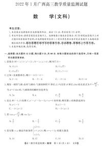 广西省2022届高三上学期1月教学质量监测数学（文）试卷（PDF版）