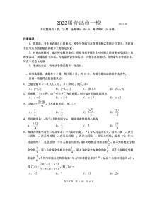 青岛市2022届高三第一次模拟考试数学试卷（含答案）