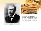 高中数学 人教版 选修 《正态分布》部优课件