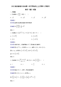 2022届安徽省六安市第一中学等校高三上学期12月联考数学（理）试题含解析