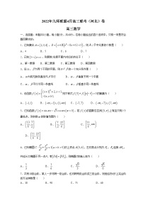 2022河北省九师联盟高三下学期4月联考数学试题无答案