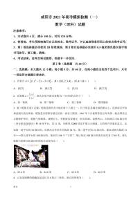 2021届陕西省咸阳市高三上学期高考模拟检测(一)理科数学试题 PDF版
