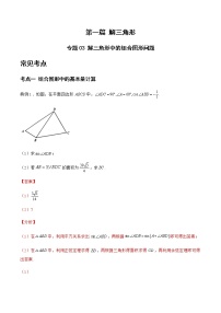 专题03 解三角形中的组合图形问题-备战2022年高考数学二轮复习之大题核心考点专题训练(新高考地区)(解析版)