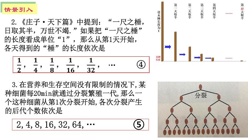 4.3.1等比数列的概念（第一课时）课件PPT04