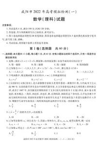 陕西省咸阳市2022届高考模拟检测（一）数学（理）试卷（PDF版）