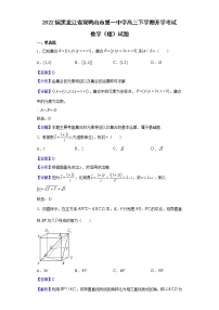 2022届黑龙江省双鸭山市第一中学高三下学期开学考试数学（理）试题含解析