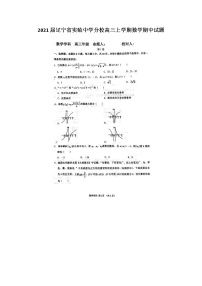 2021届辽宁省实验中学分校高三上学期数学期中试题