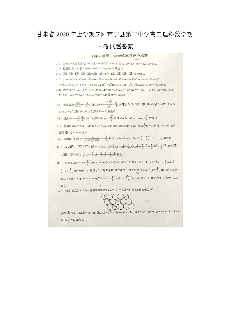 甘肃省年上学期庆阳市宁县第二中学高三理科数学期中考试题答案第1页