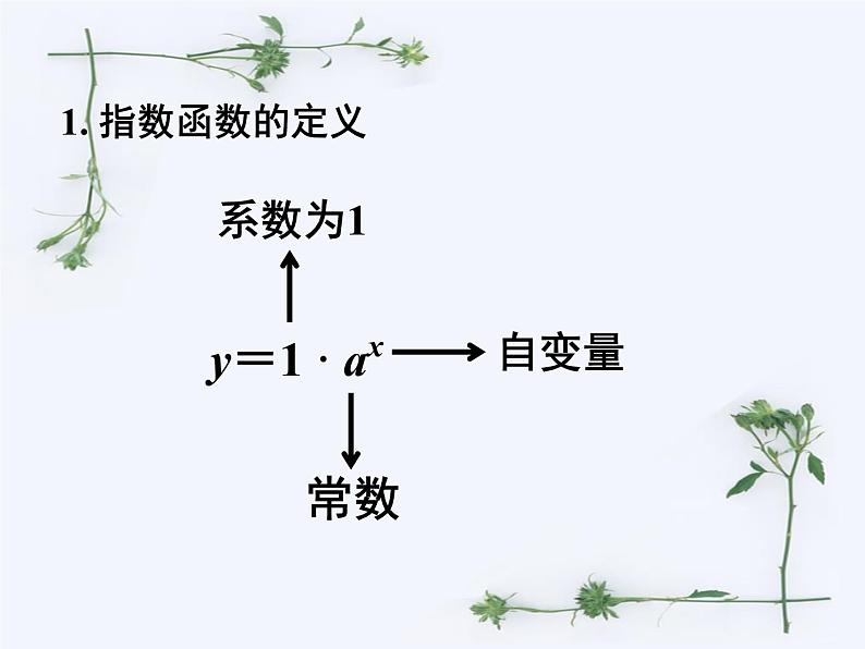 人教版（B版2019课标）高中数学必修二第四章指数函数、对数函数与幂函数4.1.2指数函数的性质与图像  课件05