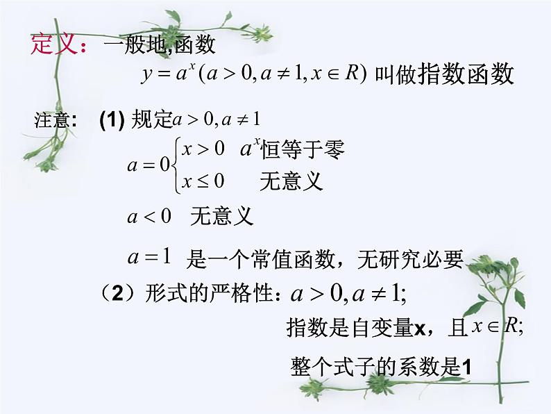 人教版（B版2019课标）高中数学必修二第四章指数函数、对数函数与幂函数4.1.2指数函数的性质与图像  课件06