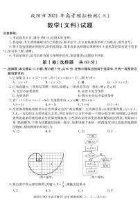 2021届陕西省咸阳市高三高考模拟检测（三）数学（文）试题 PDF版