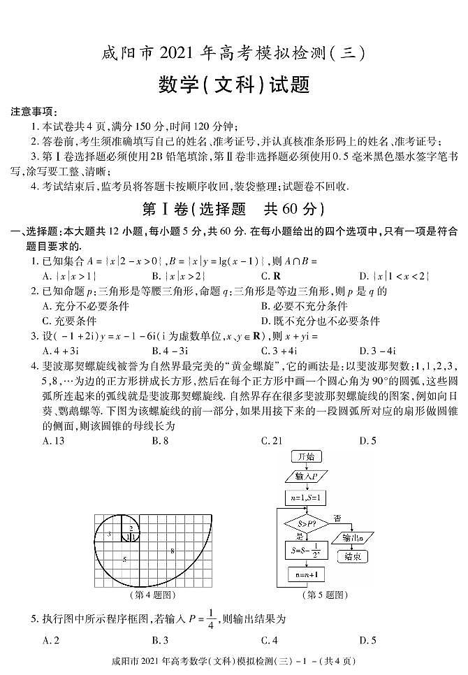 2021届陕西省咸阳市高三高考模拟检测（三）数学（文）试题 PDF版01