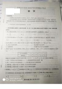 2021届湖南省娄底市高三下学期4月高考仿真模拟数学试题 PDF版