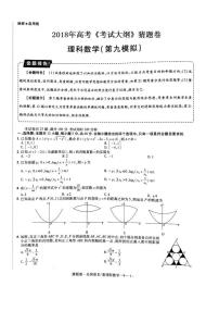2018年高考《考试大纲》猜题卷（全国卷II、III）理科数学第九套（PDF版）