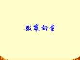 人教版（B版2019課標(biāo)）高中數(shù)學(xué)必修二6.1.4數(shù)乘向量  課件