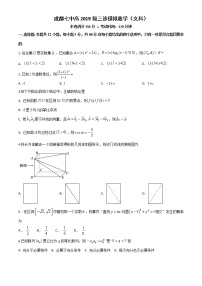 2022成都七中高三下学期三诊模拟考试数学（文）含答案