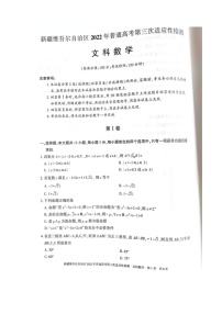 2022届新疆维吾尔自治区普通高考第三次适应性检测文科数学试题无答案