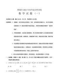 2022届山东省肥城市高三下学期5月高考适应性训练数学试题（一）（PDF版）