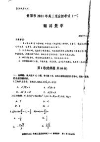 2021届贵州省贵阳市高三下学期2月适应性考试（一）理科数学试题 PDF版