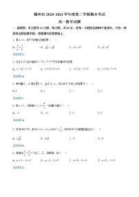江西省赣州市2020—2021学年高一下学期期末数学试题